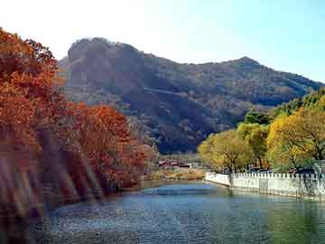 管家婆黑白马报图库，牛娃闯都市